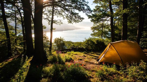 Top 5 camping Concarneau : mêlez confort et nature